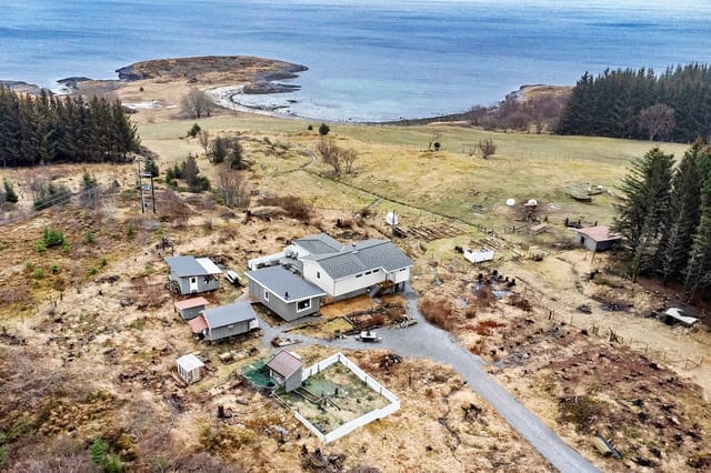 Area view
