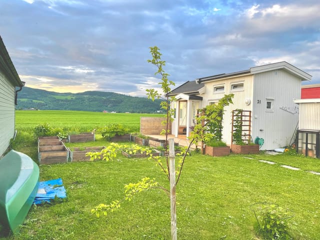 Plot with plenty of space for cultivation. Harmonious view of the cornfield and Byneset.