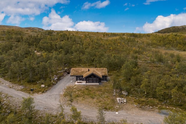 Front view of the cabin and natural surroundings