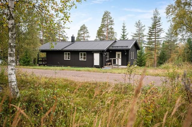 Exterior view of the cabin