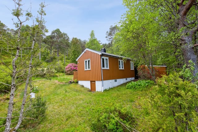 Front view of the cabin