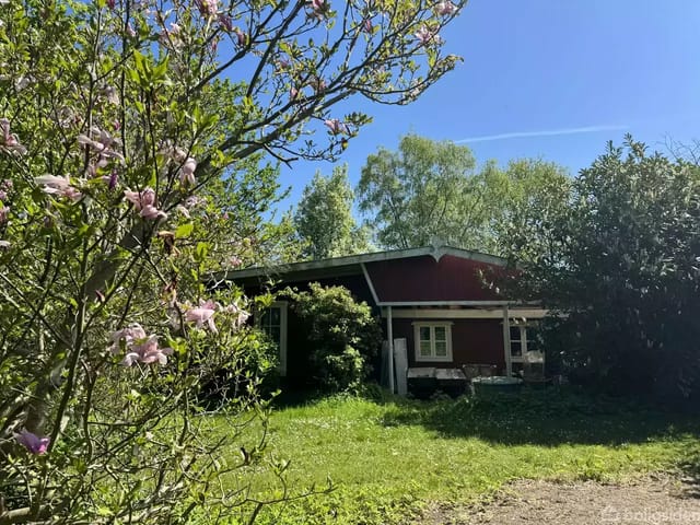 A red house with white woodwork stands in a lush garden. Flowering trees surround the house under a clear blue sky.