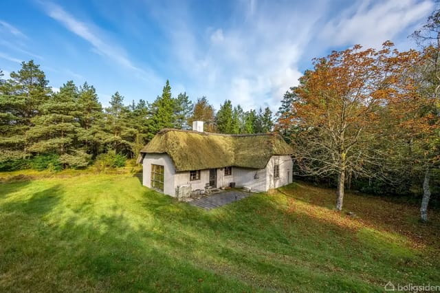 Thatched house in a garden surrounded by trees, with a small terrace and autumn-colored trees.