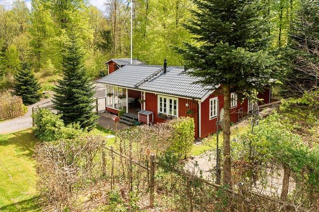 Exterior view of the house and garden