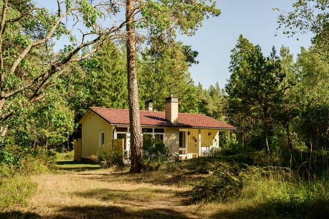Exterior view of the house and garden