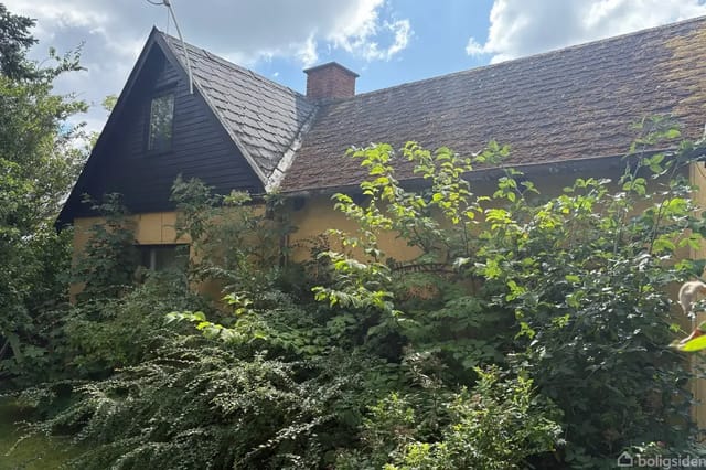 A house with a sloping roof covered by plants and bushes, set in a garden with dense vegetation under a blue sky with clouds.
