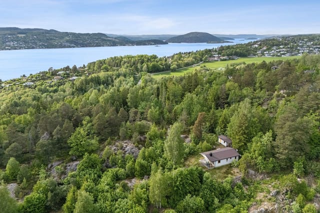 Front view of the cabin and natural surroundings