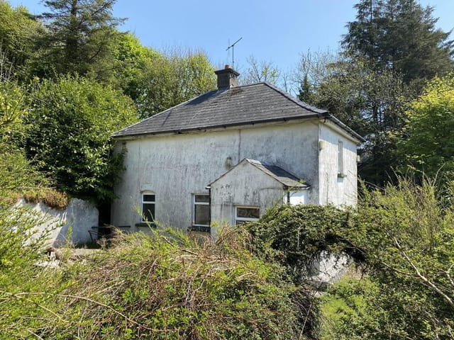 Picture 1