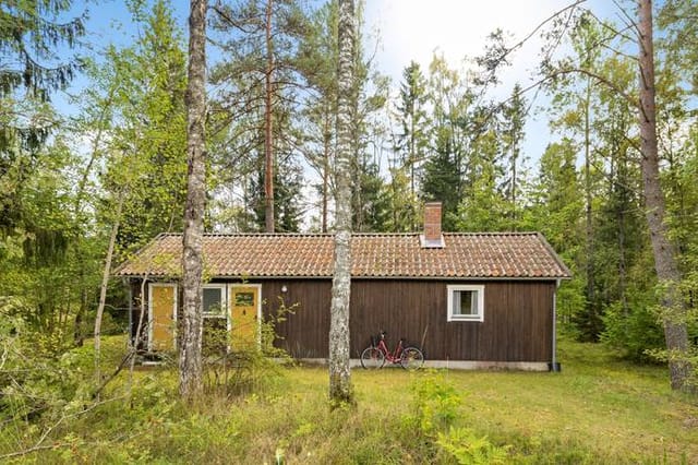 Exterior view of the house and garden