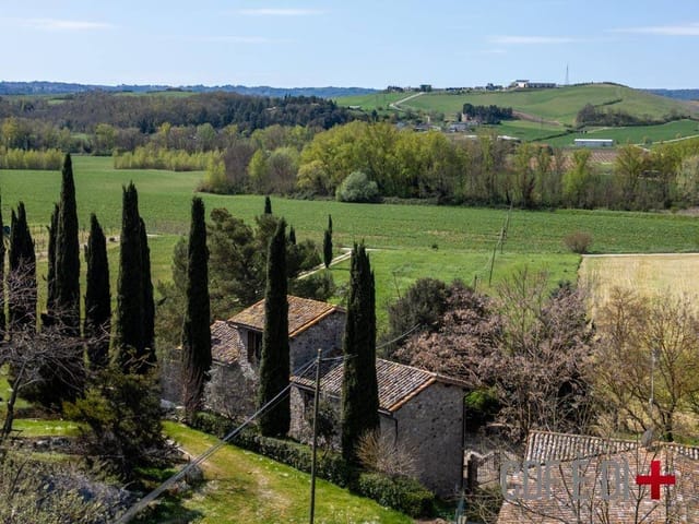View