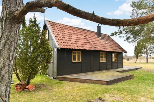 Exterior view of the house and garden