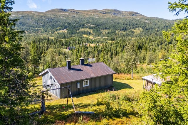 Notar v/Eiendomsmegler Olsen offers this cabin with panoramic views