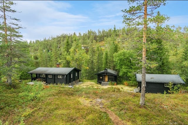 Welcome to Mjovassdalen 246