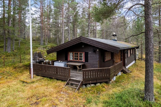 Front view of the cabin