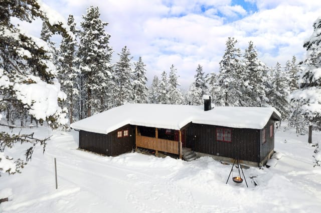 Front view of the cabin