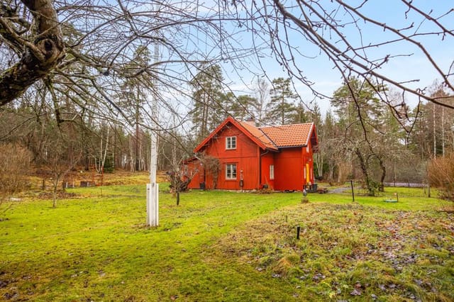 Front view of the cottage and garden