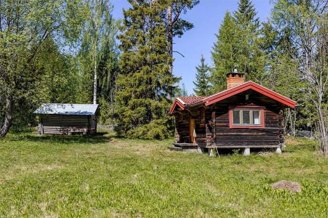 Main log cabin exterior