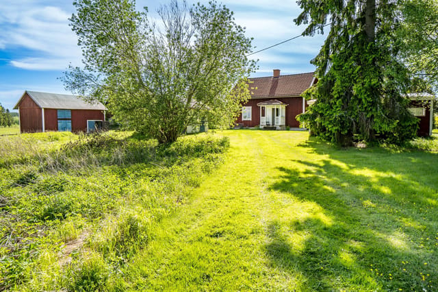 Front view of the cottage and garden