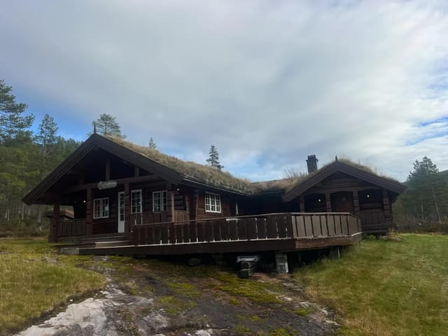 Sunny and free-standing cabin