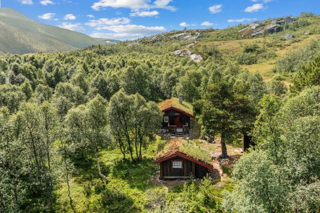 Well-maintained and charming cabin of approx. 35 sqm with outbuilding.