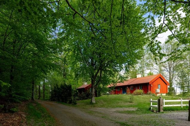 Exterior view of the house and garden