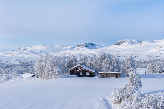 Atmospheric log cabin with beautiful and free location