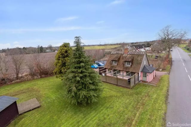 A thatched house with large windows next to a large spruce on a well-kept lawn. The surroundings include a country road and open fields in the background.