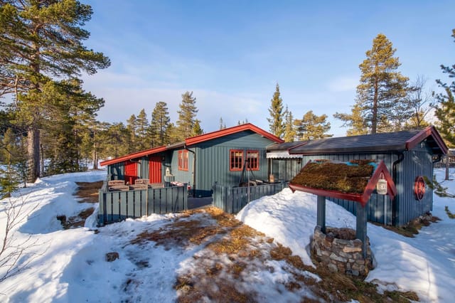 Secluded cabin with newer fireplace and surfaces