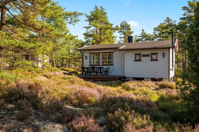 Welcome to Signebøenfjellet 99!