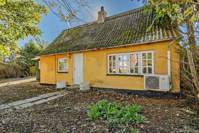 A small yellow house with a moss-covered roof surrounded by trees and plants. A path leads to a white door, and there is a climate system mounted outside.