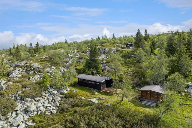 Welcome to Bittermarkvegen 1559
