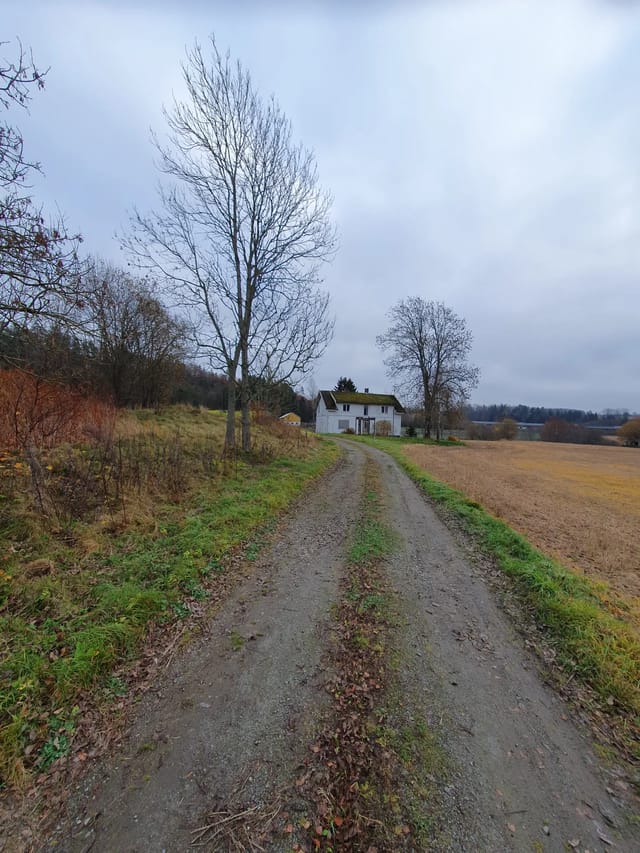 Driveway access from the west (towards east)