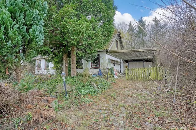 An older, dilapidated house surrounded by dense bushes and trees in an overgrown garden. A gravel path leads to a carport and a small wooden gate.