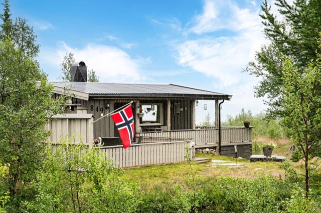 Welcome to Rendalen and Osdalsveien 849!