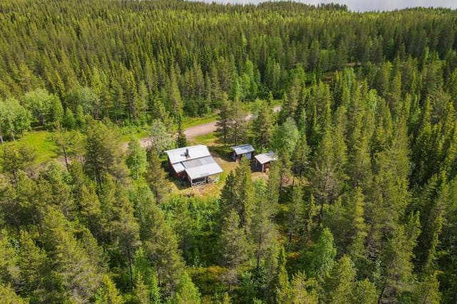Main house and yard