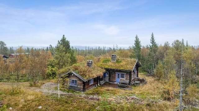 Welcome to Fåfengveien 51!