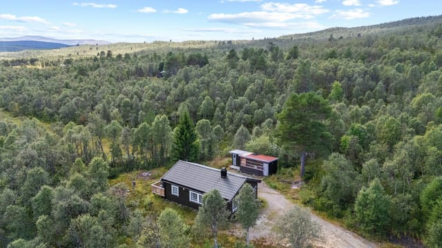 Front view of the cabin