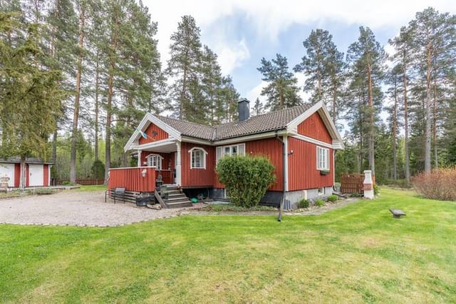Front view of the house and garden