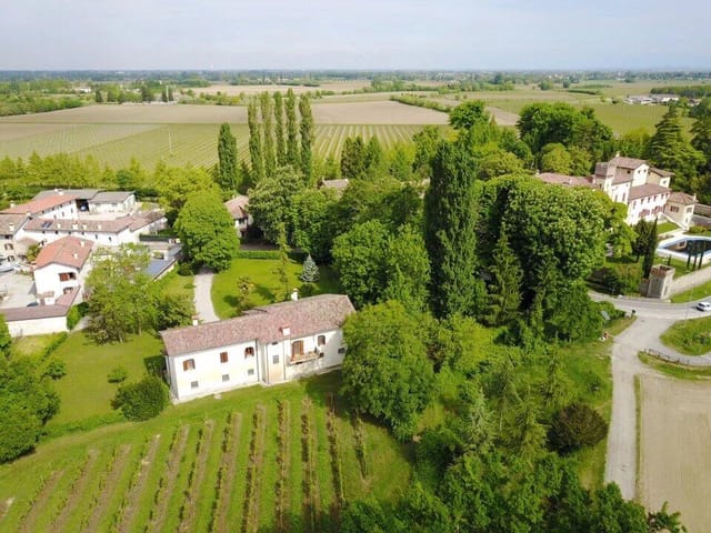 Picture 1