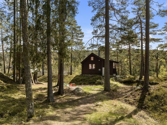 Front view of the cabin and annex