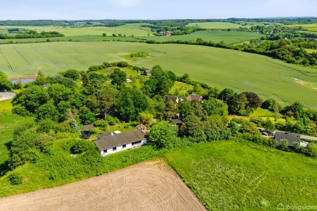 House surrounded by lush forest, set quietly in a hilly landscape with fields and green meadows in the background, under a clear blue sky.