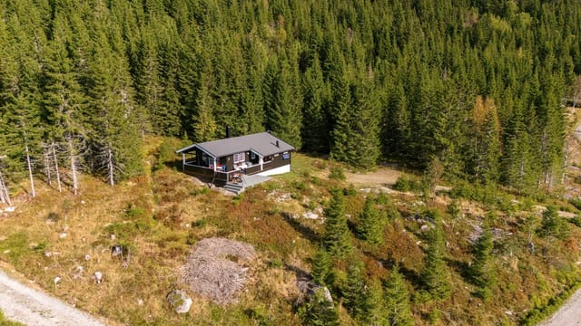 Cozy leisure property at Totenåsen by Øyungen - Water post to the right, next to the cabin