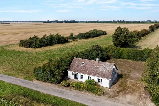 House by country road surrounded by green bushes and trees, located in a rural area with large fields stretching to the horizon under a clear blue sky.