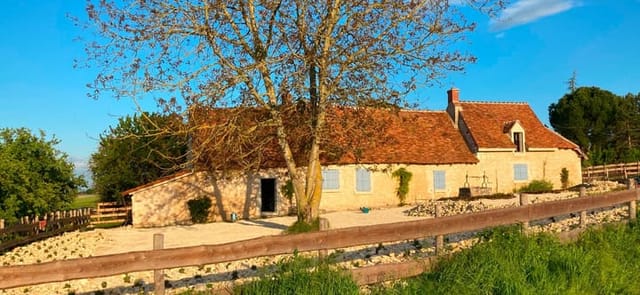 Photo 1 of Lieudit Feny 36500 Palluau-sur-Indre