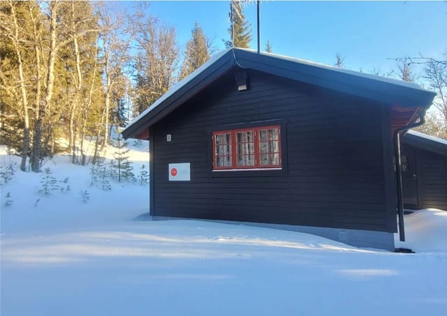 Winter view of the cabin