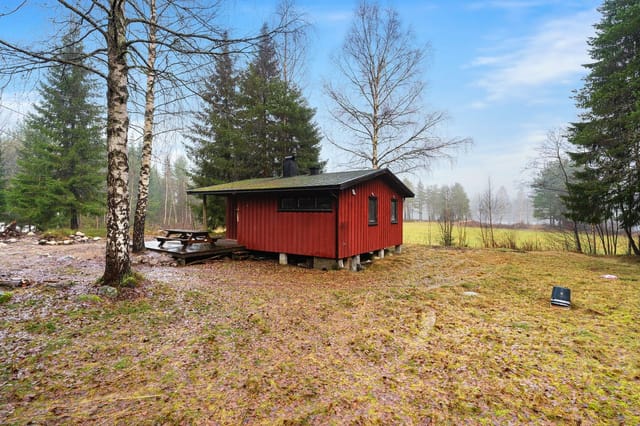 The cabin with surrounding plot