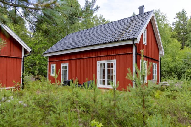 Exterior view of the house and garden