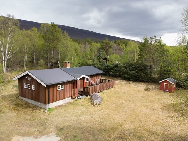 Peaceful cabin gem with three plots in untouched nature