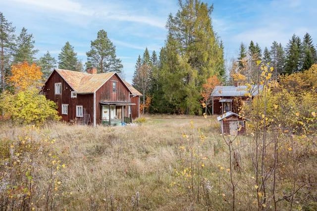 Main cottage and surrounding land