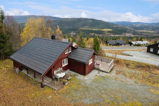 Welcome to the viewing!